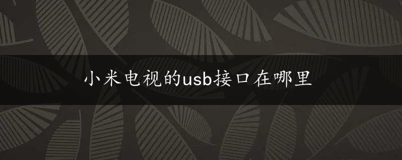 小米电视的usb接口在哪里