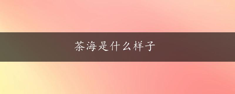 茶海是什么样子