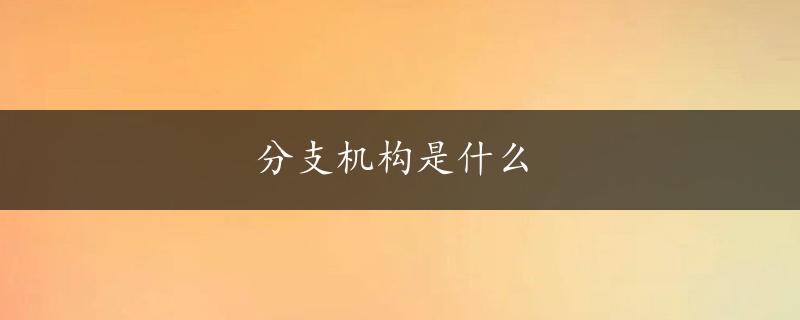 分支机构是什么