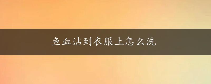 鱼血沾到衣服上怎么洗