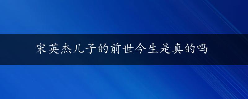 宋英杰儿子的前世今生是真的吗