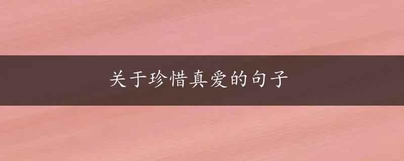 关于珍惜真爱的句子