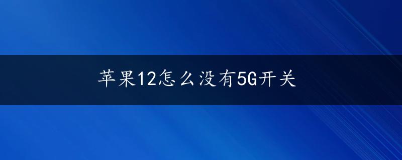 苹果12怎么没有5G开关