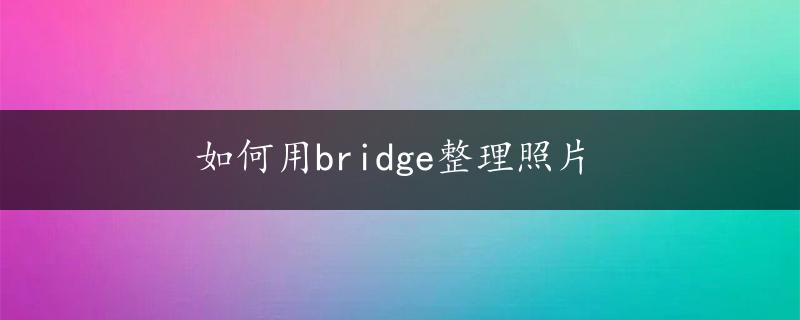 如何用bridge整理照片