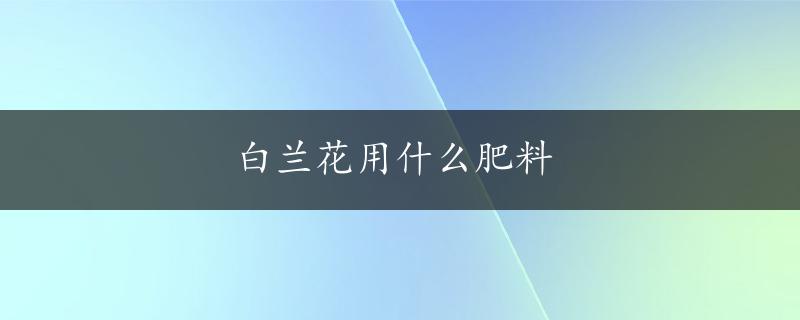 白兰花用什么肥料