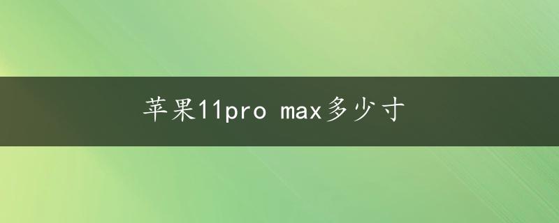 苹果11pro max多少寸