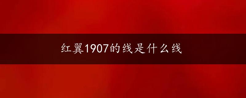 红翼1907的线是什么线