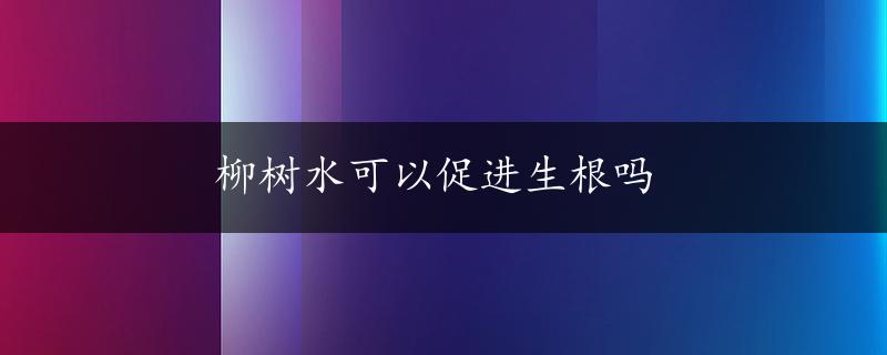 柳树水可以促进生根吗