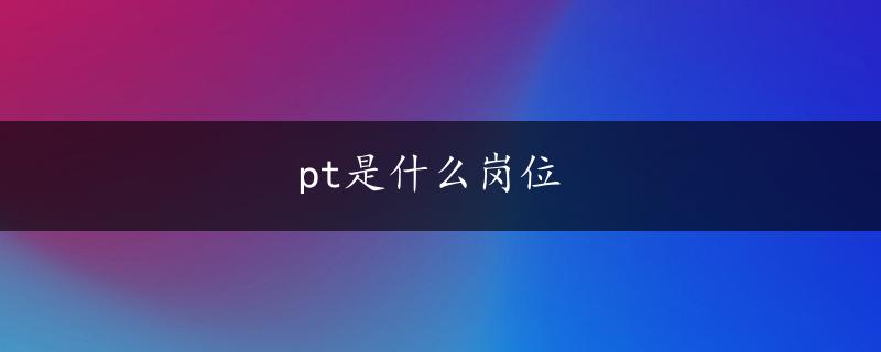 pt是什么岗位