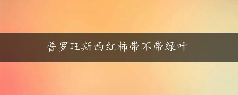 普罗旺斯西红柿带不带绿叶