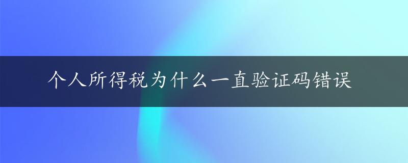 个人所得税为什么一直验证码错误