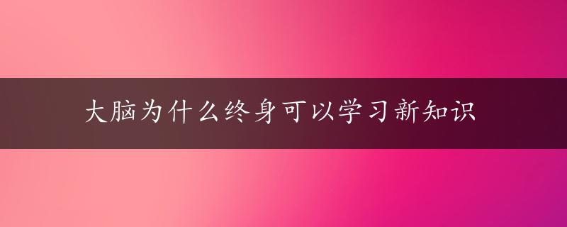 大脑为什么终身可以学习新知识