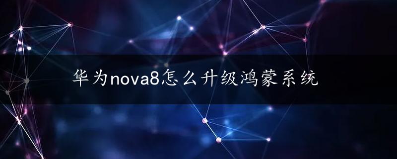 华为nova8怎么升级鸿蒙系统