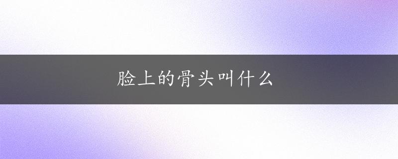 脸上的骨头叫什么