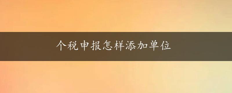 个税申报怎样添加单位