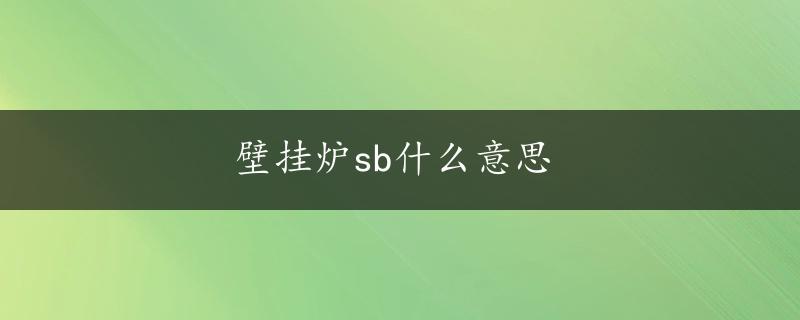 壁挂炉sb什么意思