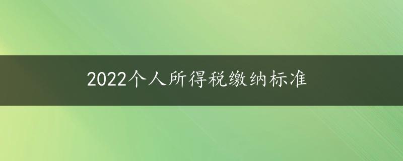 2022个人所得税缴纳标准