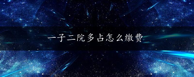 一子二院多占怎么缴费