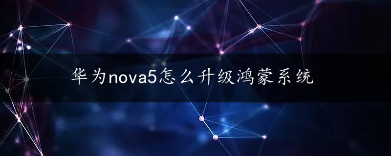 华为nova5怎么升级鸿蒙系统