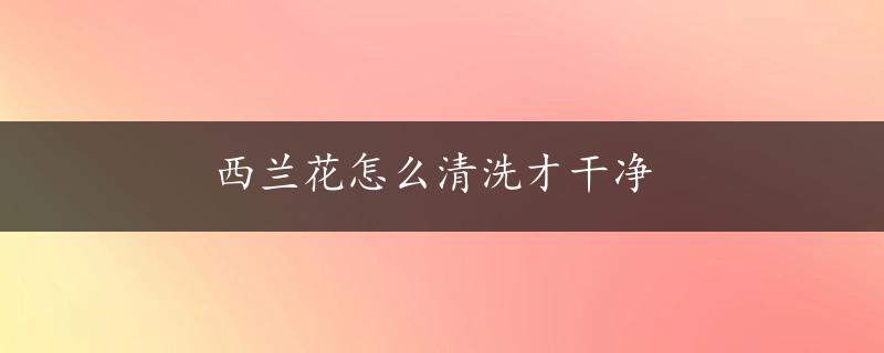 西兰花怎么清洗才干净