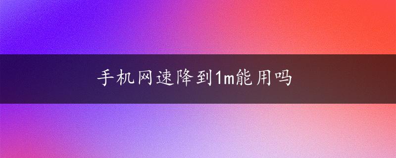 手机网速降到1m能用吗