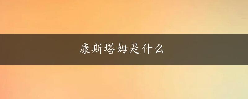 康斯塔姆是什么