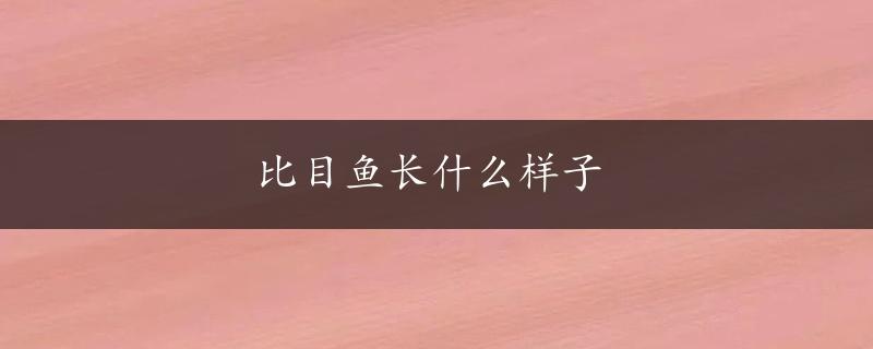 比目鱼长什么样子