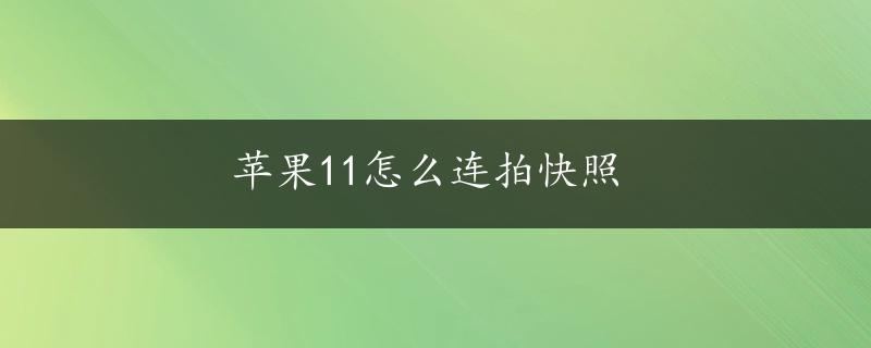 苹果11怎么连拍快照