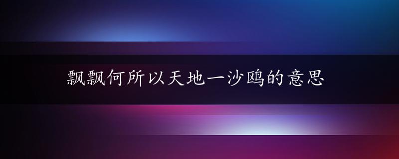 飘飘何所以天地一沙鸥的意思