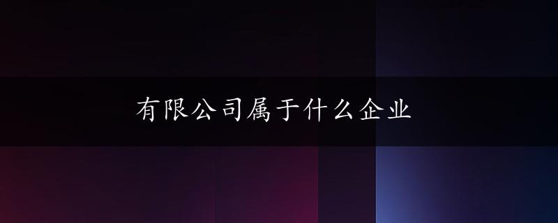 有限公司属于什么企业