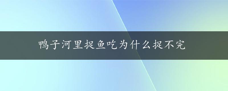 鸭子河里捉鱼吃为什么捉不完