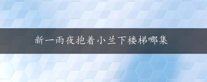 新一雨夜抱着小兰下楼梯哪集