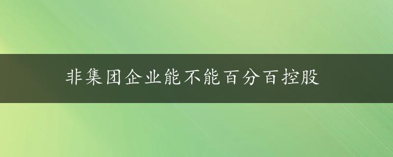 非集团企业能不能百分百控股