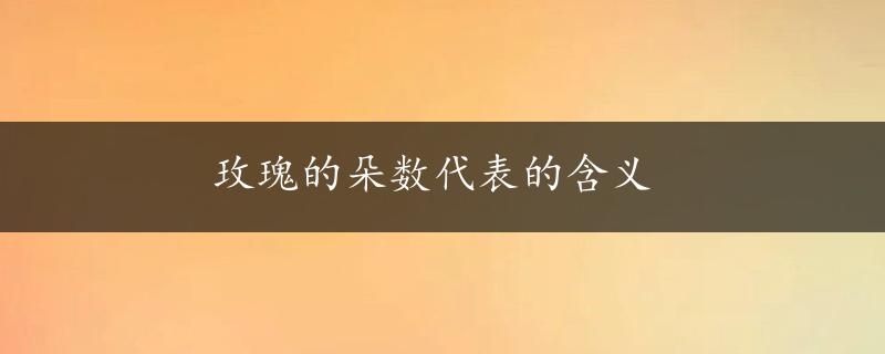 玫瑰的朵数代表的含义