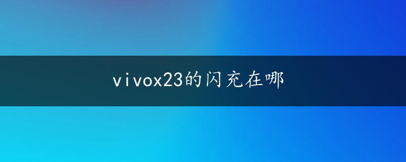 vivox23的闪充在哪