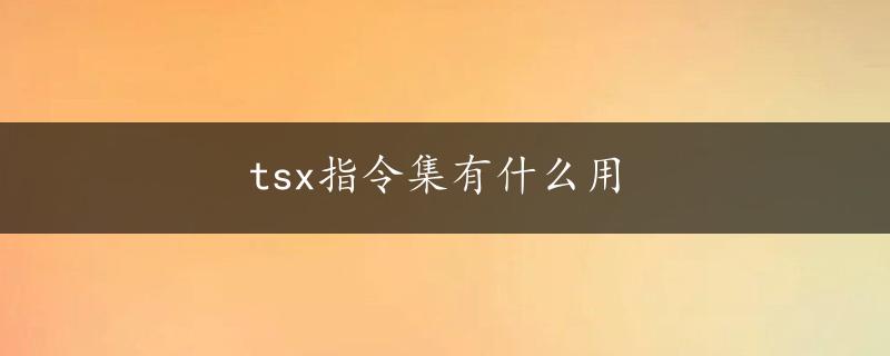 tsx指令集有什么用