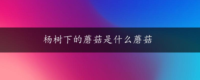 杨树下的蘑菇是什么蘑菇