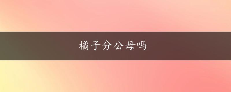 橘子分公母吗