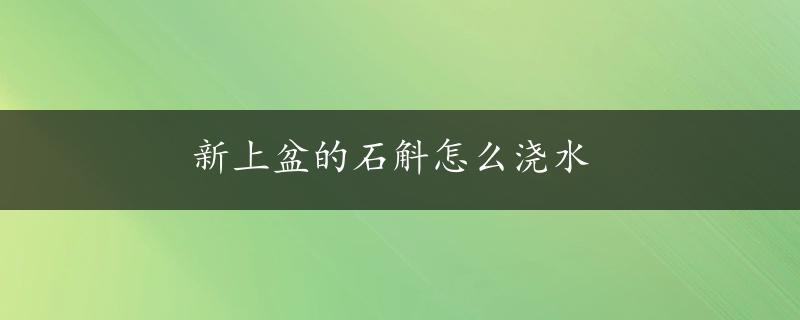 新上盆的石斛怎么浇水