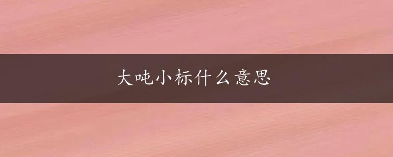 大吨小标什么意思