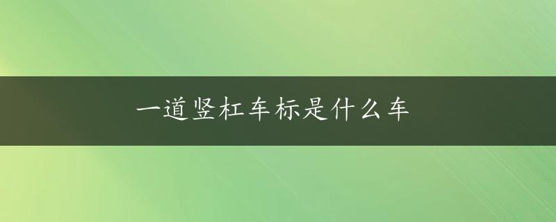 一道竖杠车标是什么车