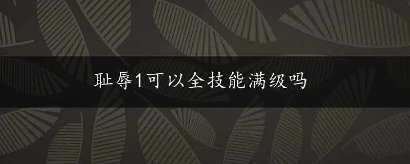 耻辱1可以全技能满级吗