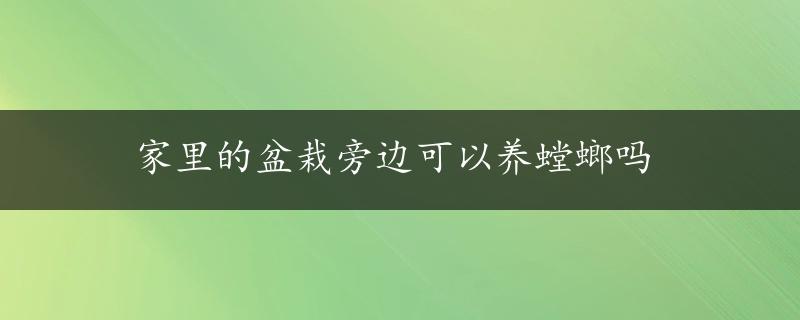 家里的盆栽旁边可以养螳螂吗