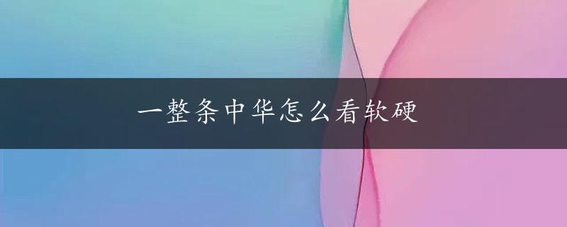 一整条中华怎么看软硬