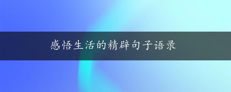 感悟生活的精辟句子语录