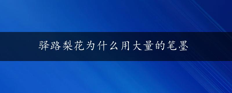 驿路梨花为什么用大量的笔墨