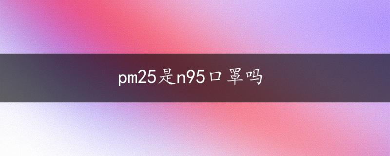 pm25是n95口罩吗