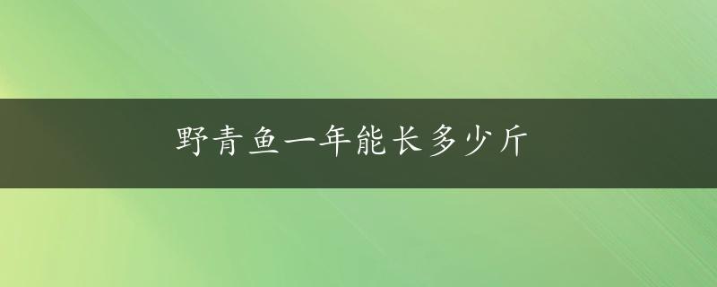 野青鱼一年能长多少斤