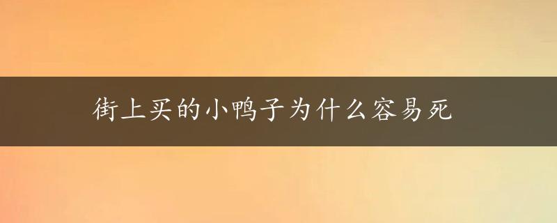 街上买的小鸭子为什么容易死