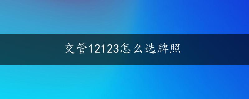 交管12123怎么选牌照